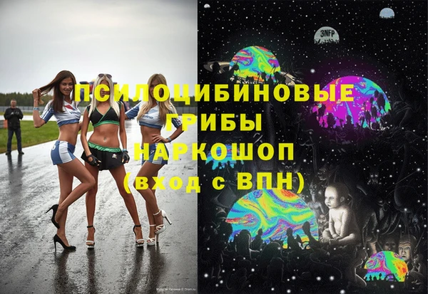хмурый Абаза