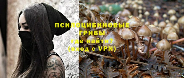 хмурый Абаза