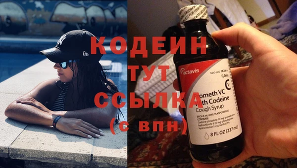 хмурый Абаза