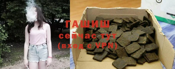 хмурый Абаза